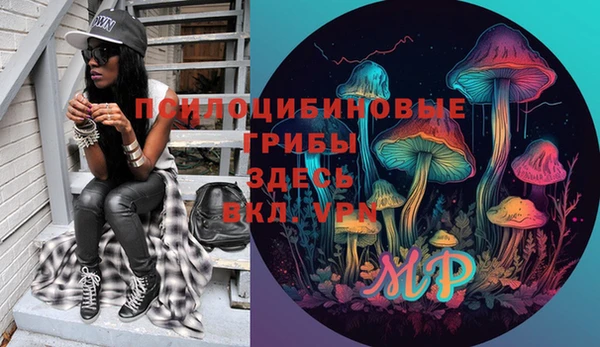 PSILOCYBIN Армянск