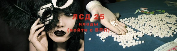 PSILOCYBIN Армянск