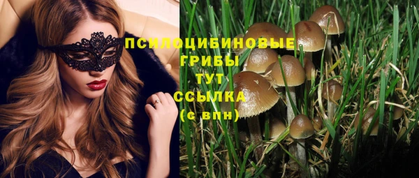 PSILOCYBIN Армянск